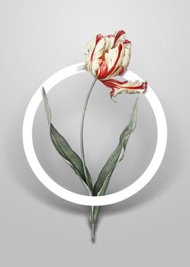 Didiers Tulip Flower Art