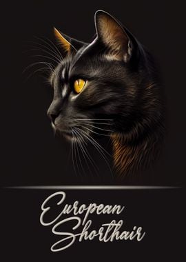 European Shorthair