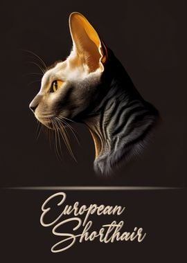 European Shorthair