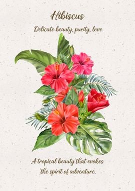 Hibiscus Flower Language