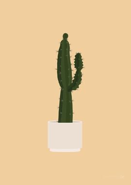 Saguaro Cactus Illustrated