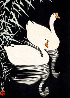 White Chinese Geese Ohara