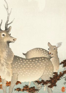 Japanese deers Ohara Koson