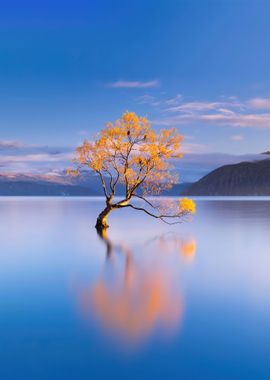 Lake Wanaka New Zealand