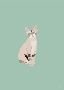 Devon Rex Cat Illustration