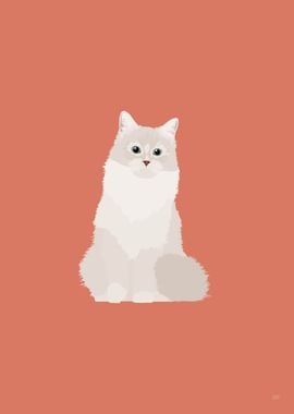 Ragdoll Cat Illustration