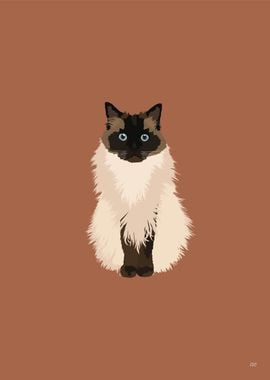 Himalayan Cat Illustration