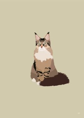 Maine Coon Illustration