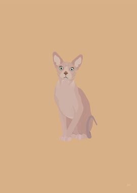 Sphynx Cat Illustration