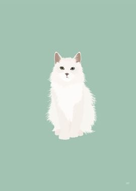 Turkish Angora Cat