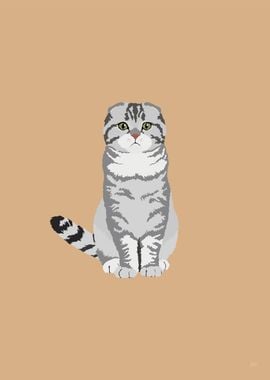 Scottish Fold Illustration