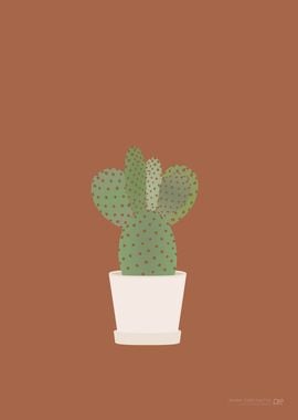 Bunny Ear Cactus