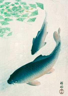 Carp or Koi Ohara Koson