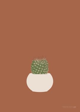 Hedgehog Cactus