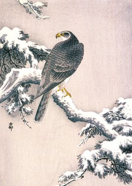 Japanese Hawk Ohara Koson