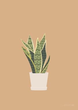 Snake Plant Illustration