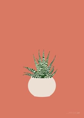 Zebra Plant Illustration