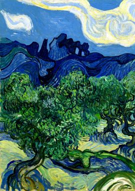 Olive Trees van Gogh