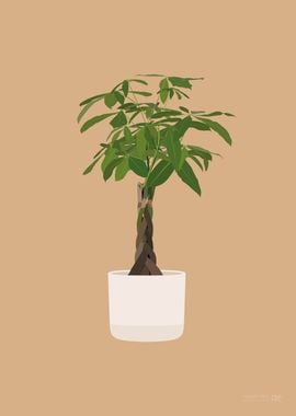 Money Tree Illustration