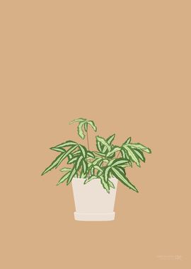 Ribbon Fern Illustration