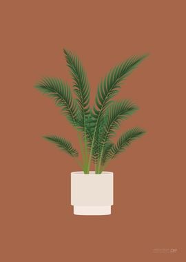 Areca Palm Illustration