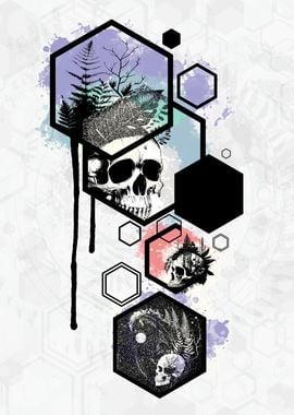 Skulls and hexagons