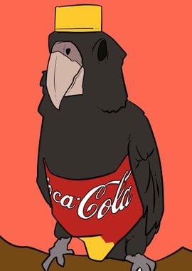 cola bird