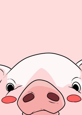 cute pig