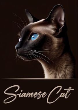 Siamese Cat