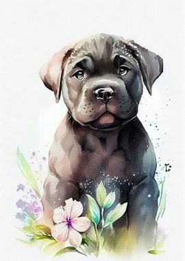 Cane Corso Watercolor