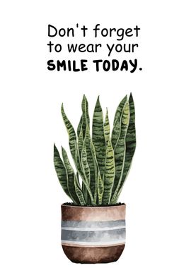 Smile Today Affirmation