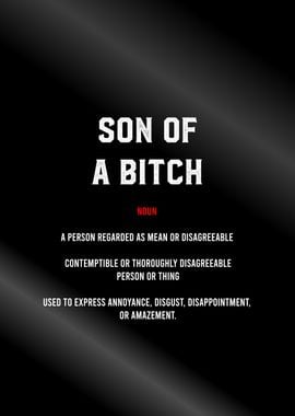 son of bitch definition