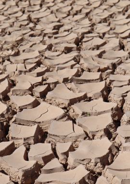 the great nature desert