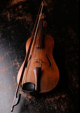 musical instrument  violin