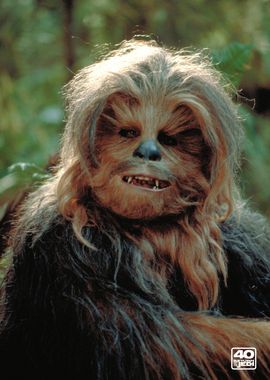 Chewbacca 1