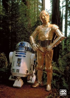 The Droids 1