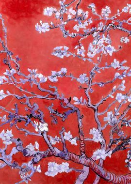 Almond Blossoms in Red