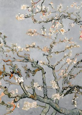 Almond Blossoms in Gray