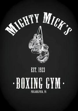 Mighty Micks Boxing Gym