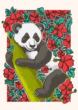 Hibiscus Panda