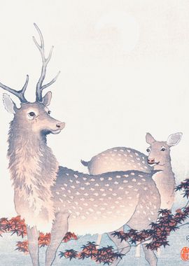 Couple of Deers