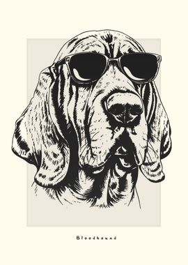 Bloodhound Illustration