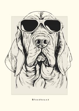 Bloodhound Illustration