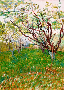 The Flowering Orchard 1888