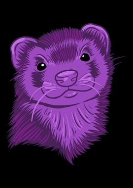 Ferret