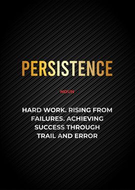 persistence definition