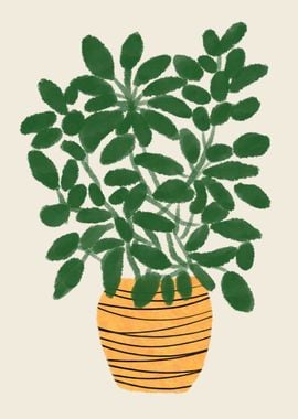 Home Decor Plant