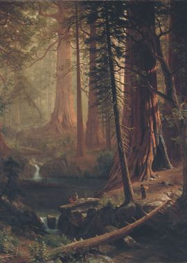 Giant Redwood Trees 1874