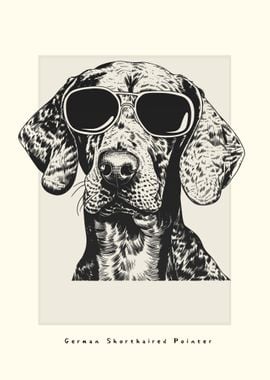 German Shorthaired Pointer