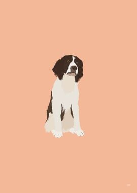 English Springer Spaniel